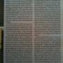 texto_do_artigo_no_ionline_a_2-2-2010.jpg