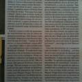 texto_do_artigo_no_ionline_a_2-2-2010.jpg